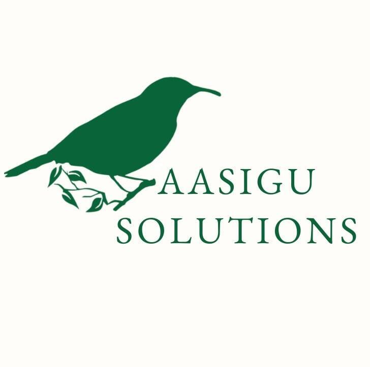 Aasigu Solutions Ltd